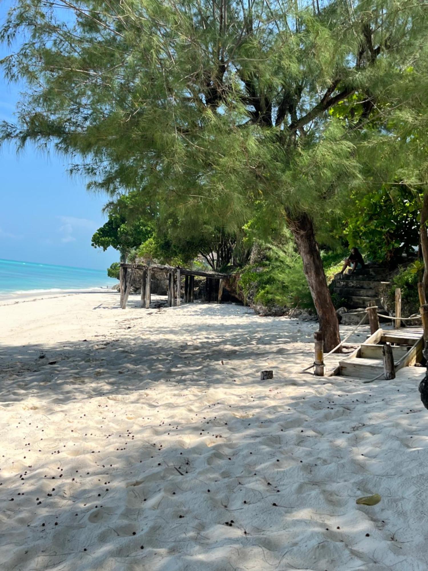 Sazani Beach Lodge And Tidal Lounge Nungwi Exterior foto