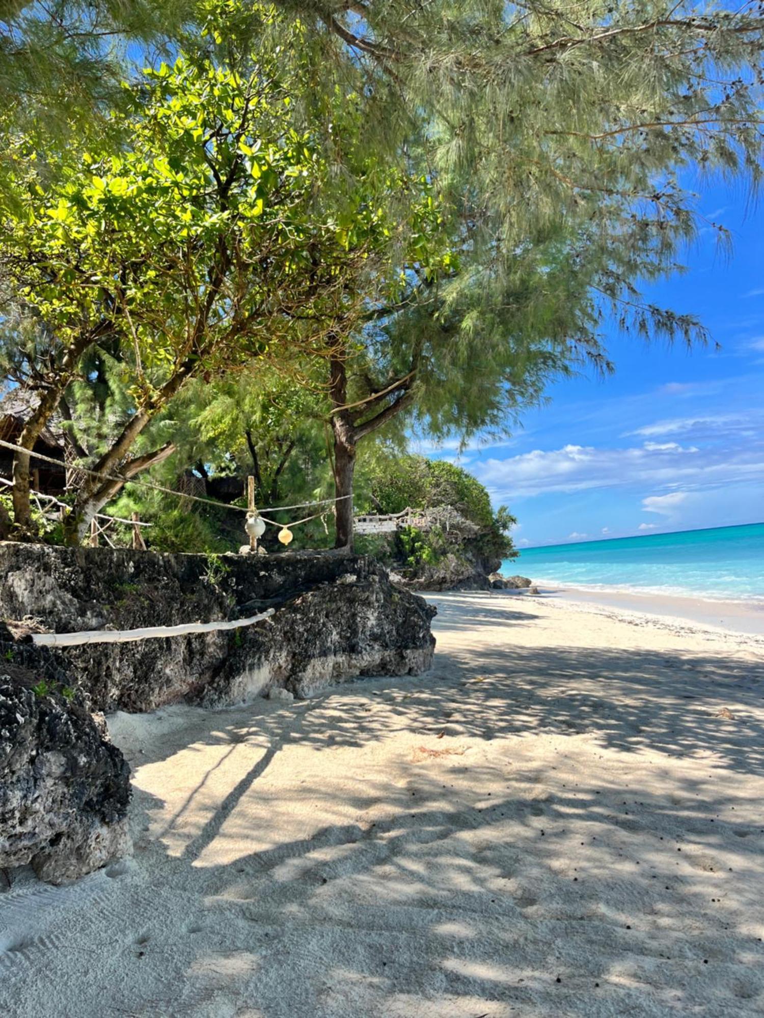 Sazani Beach Lodge And Tidal Lounge Nungwi Exterior foto