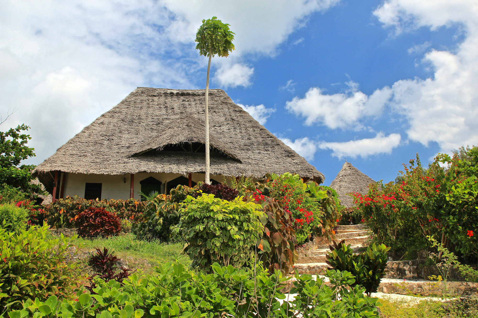 Sazani Beach Lodge And Tidal Lounge Nungwi Exterior foto